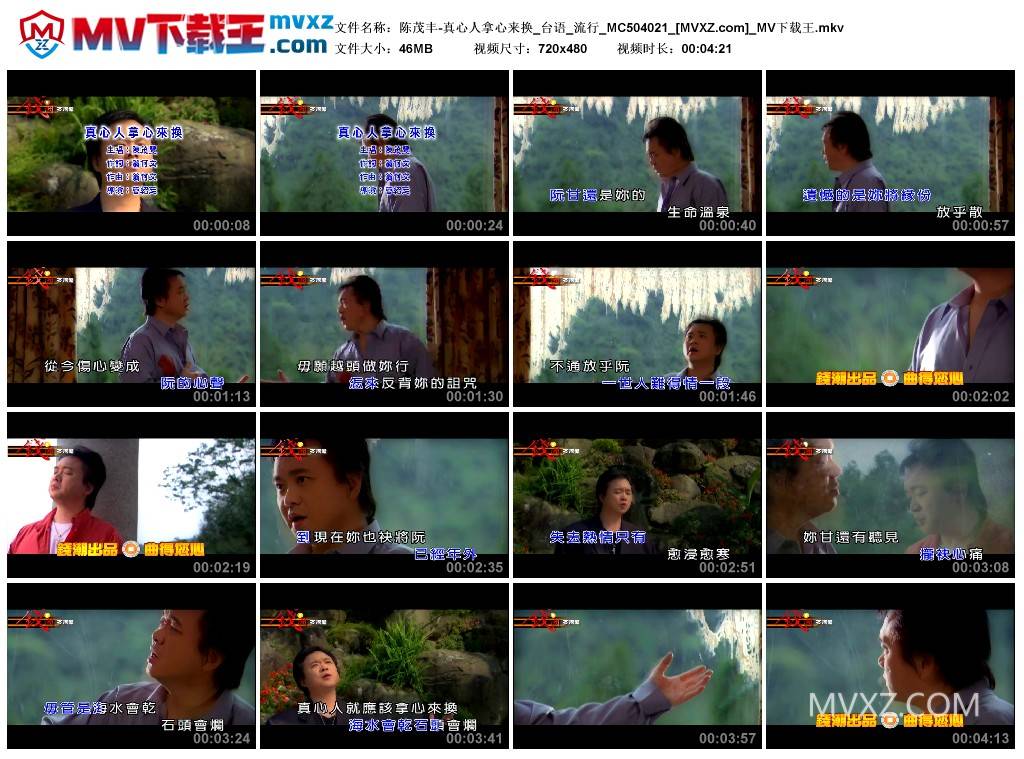 陈茂丰-真心人拿心来换_台语_流行_MC504021